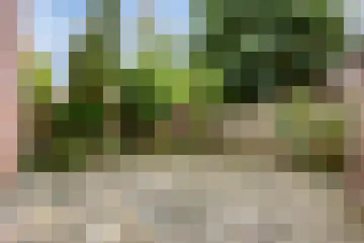 Griendwerker 34 Spijkenisse thumbnail 27