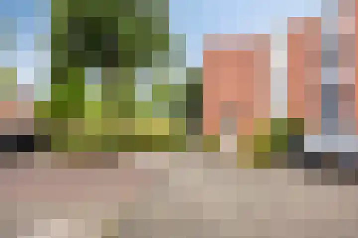 Griendwerker 34 Spijkenisse thumbnail 29