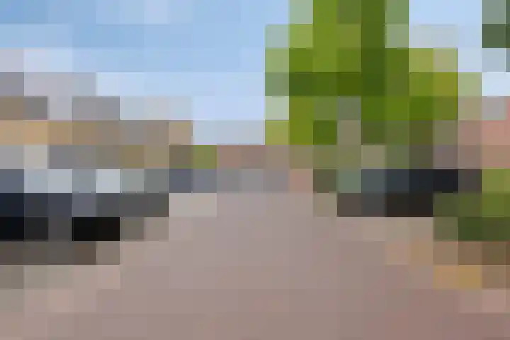 Griendwerker 34 Spijkenisse thumbnail 31