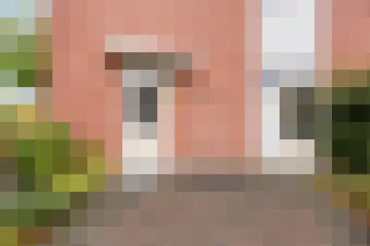 Griendwerker 34 Spijkenisse thumbnail 4