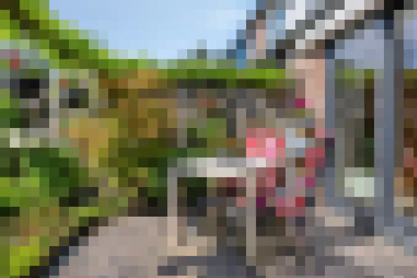 Griendwerker 39 Oud-Beijerland thumbnail 16