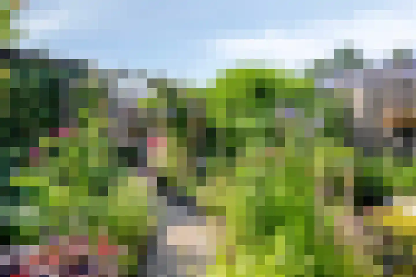 Griendwerker 39 Oud-Beijerland thumbnail 17