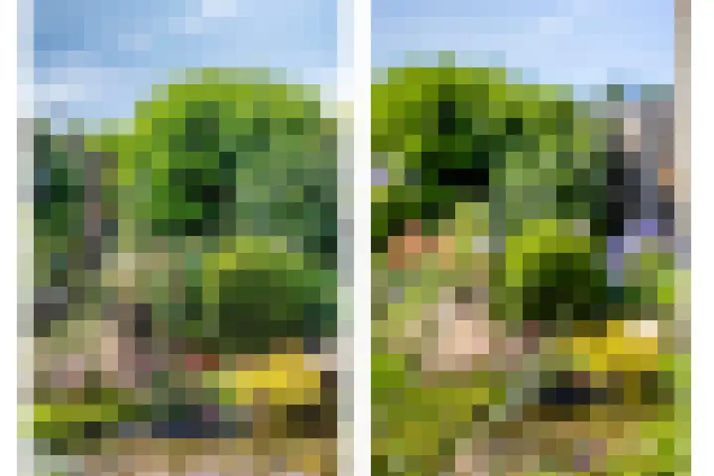 Griendwerker 39 Oud-Beijerland thumbnail 18
