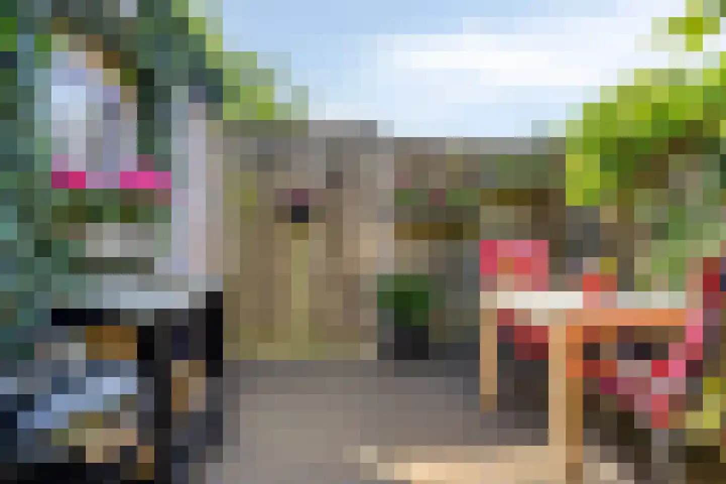 Griendwerker 39 Oud-Beijerland thumbnail 19