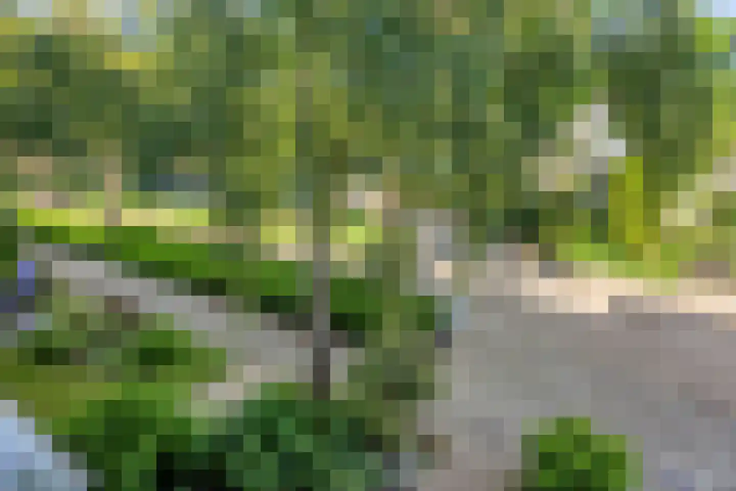Griendwerker 39 Oud-Beijerland thumbnail 48