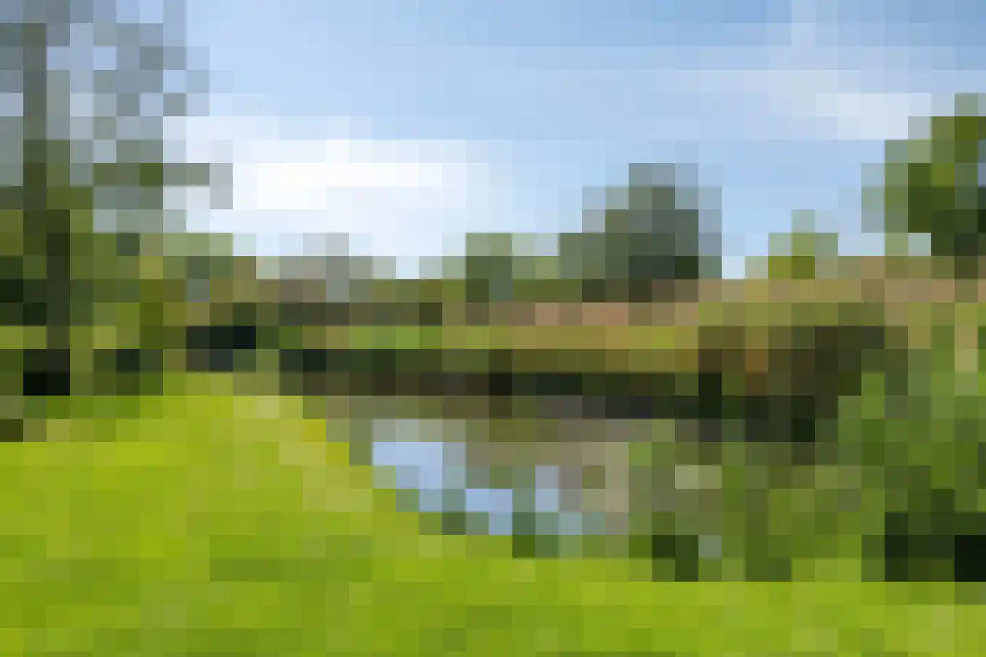 Griendwerker 39 Oud-Beijerland thumbnail 51