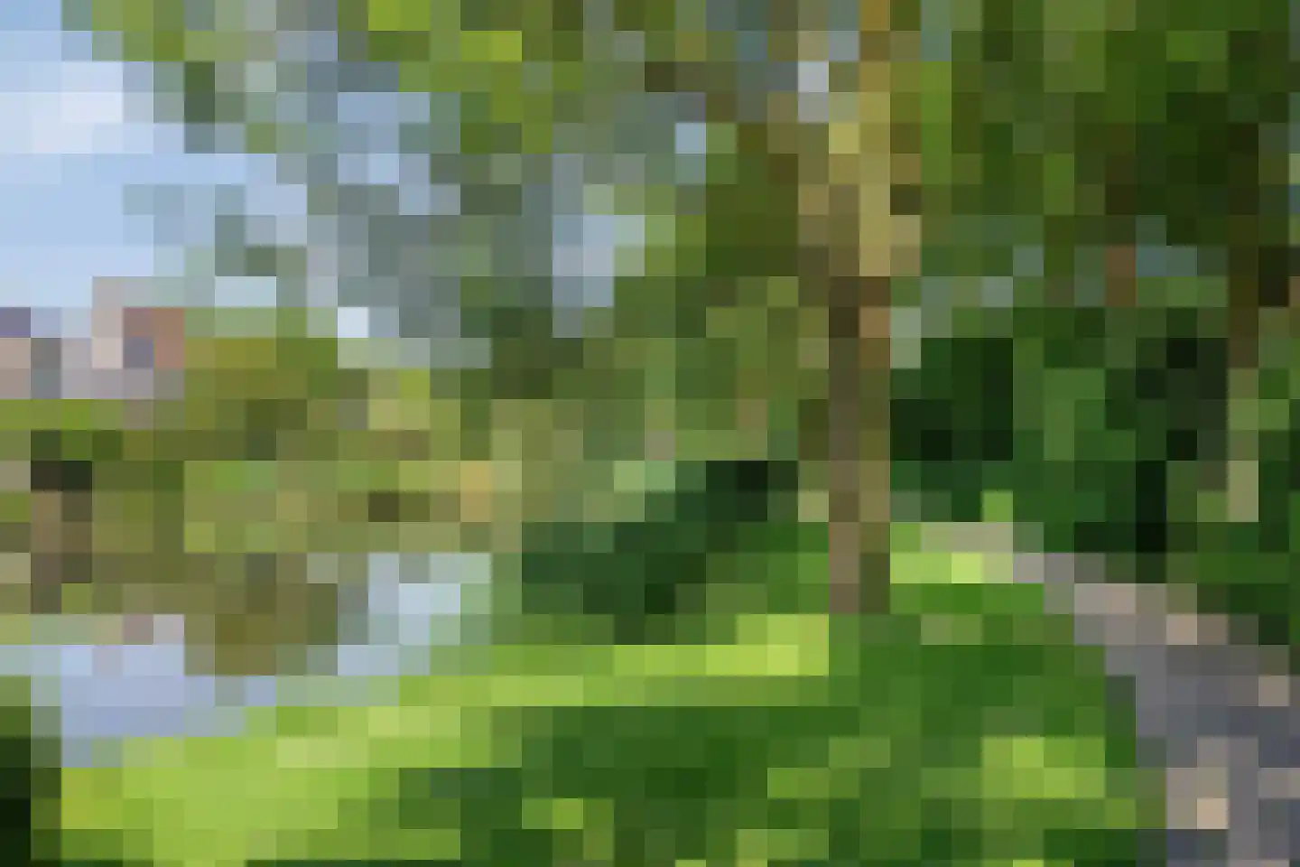 Griendwerker 39 Oud-Beijerland thumbnail 52