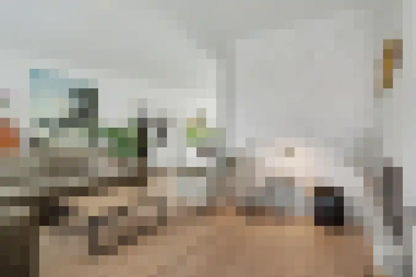 Griendwerker 6 Oud-Beijerland thumbnail 12
