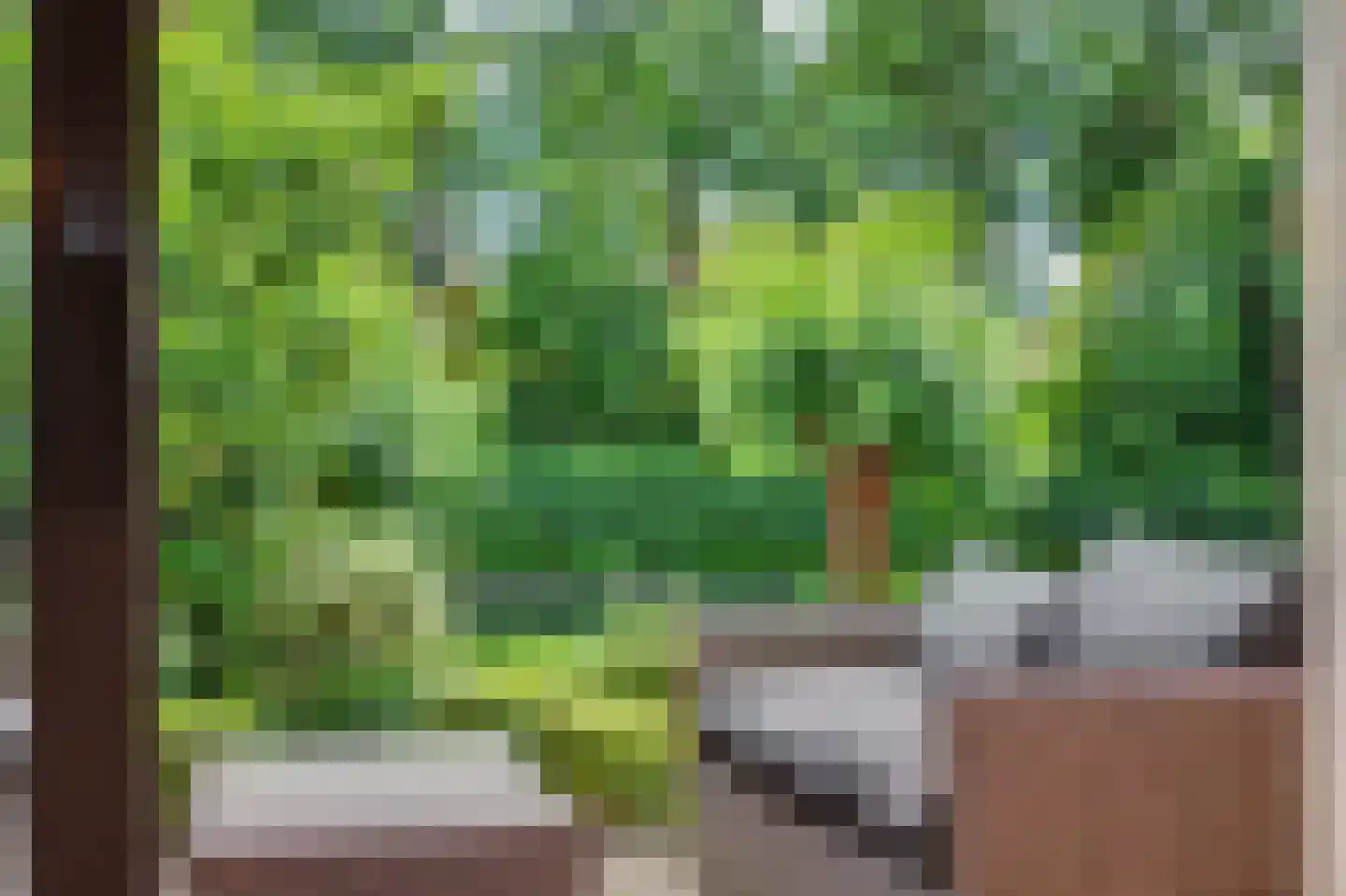 Griendwerker 6 Oud-Beijerland thumbnail 34