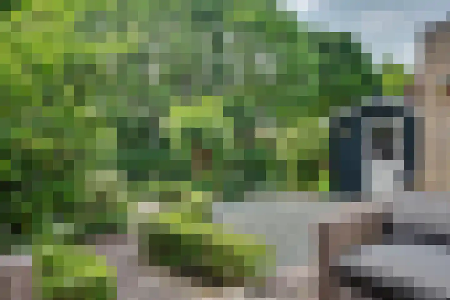 Griendwerker 6 Oud-Beijerland thumbnail 37