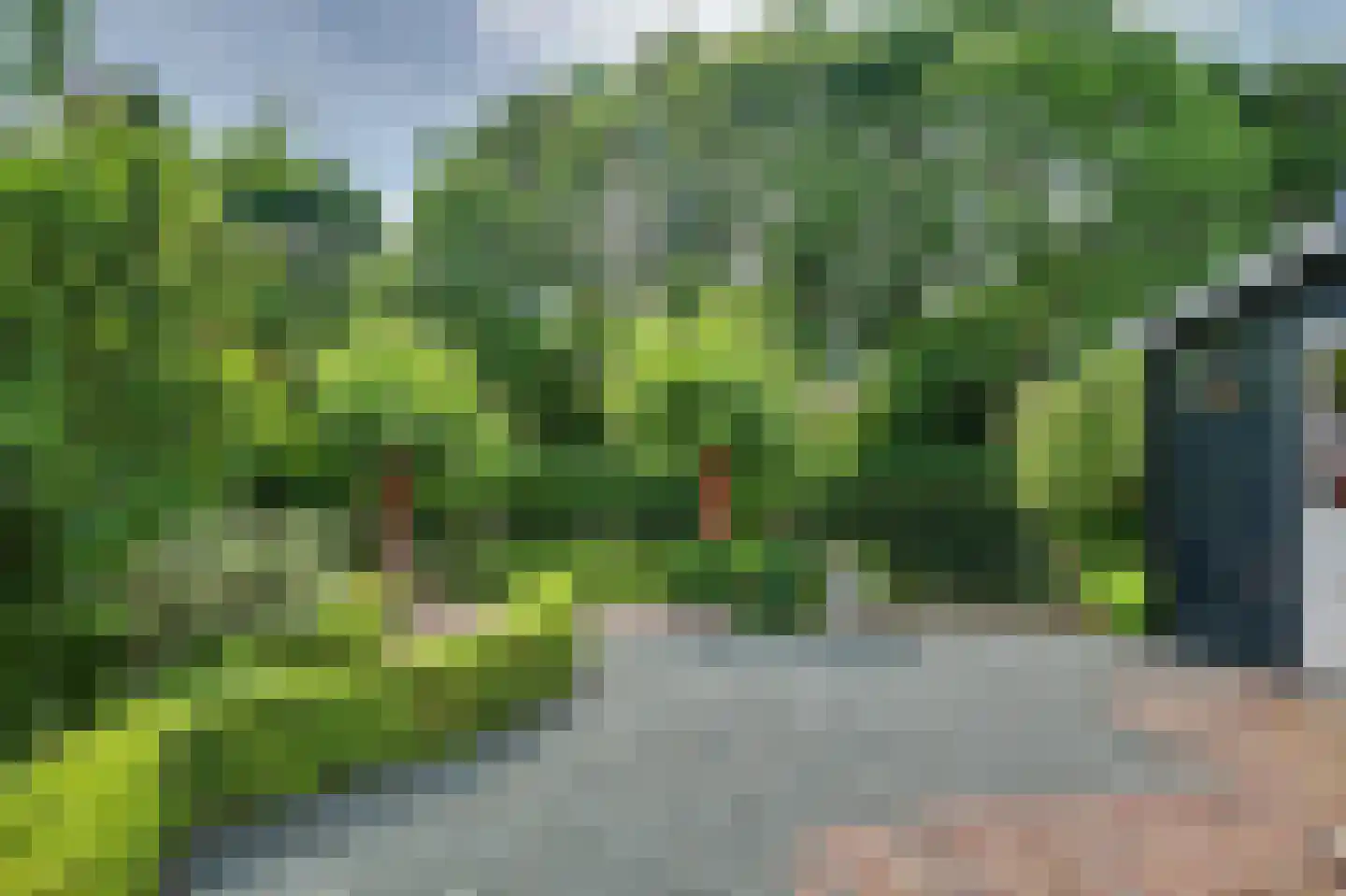 Griendwerker 6 Oud-Beijerland thumbnail 38