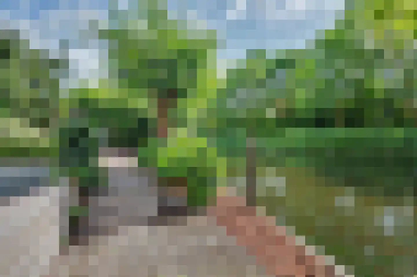 Griendwerker 6 Oud-Beijerland thumbnail 40