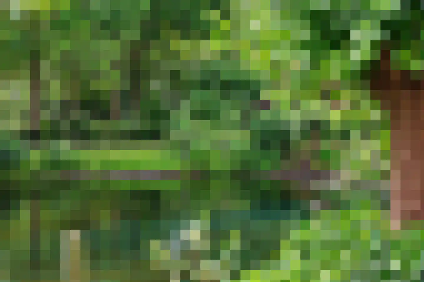 Griendwerker 6 Oud-Beijerland thumbnail 41