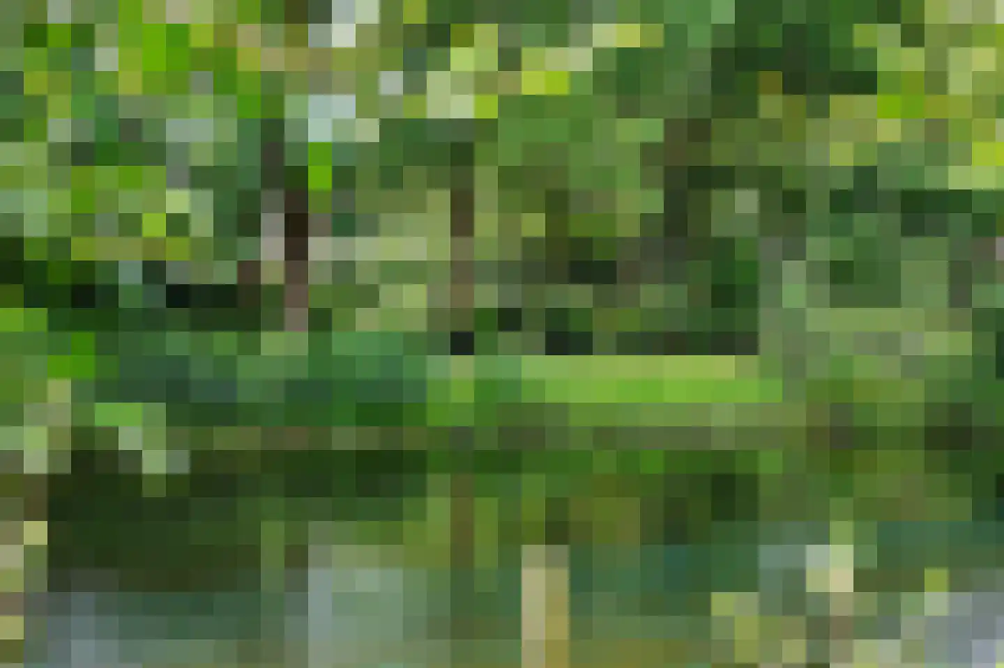 Griendwerker 6 Oud-Beijerland thumbnail 42