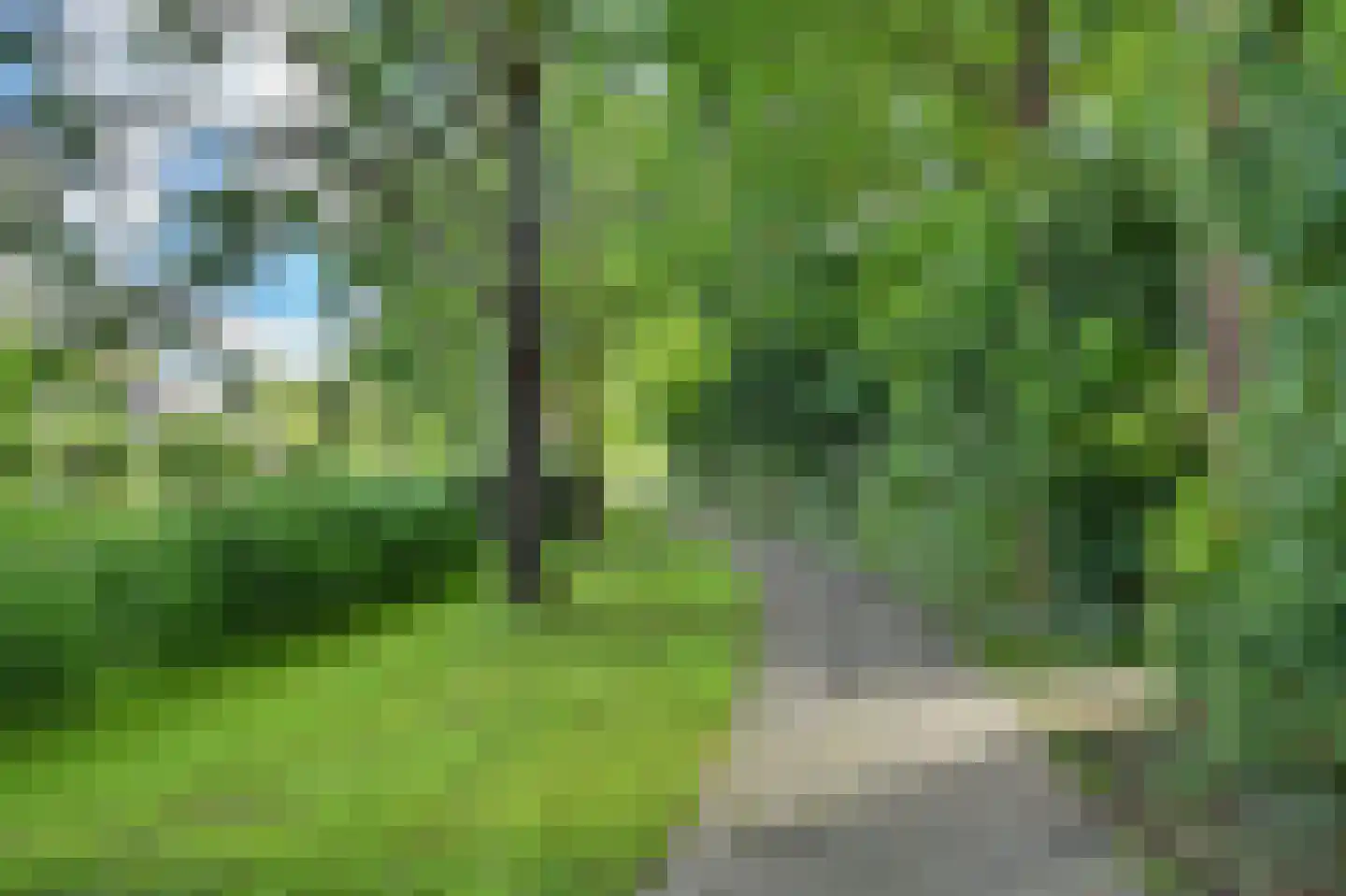 Griendwerker 6 Oud-Beijerland thumbnail 43