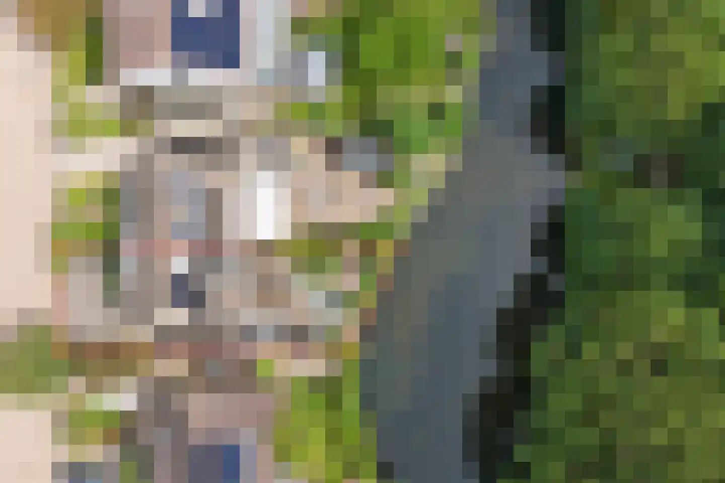 Griendwerker 6 Oud-Beijerland thumbnail 47