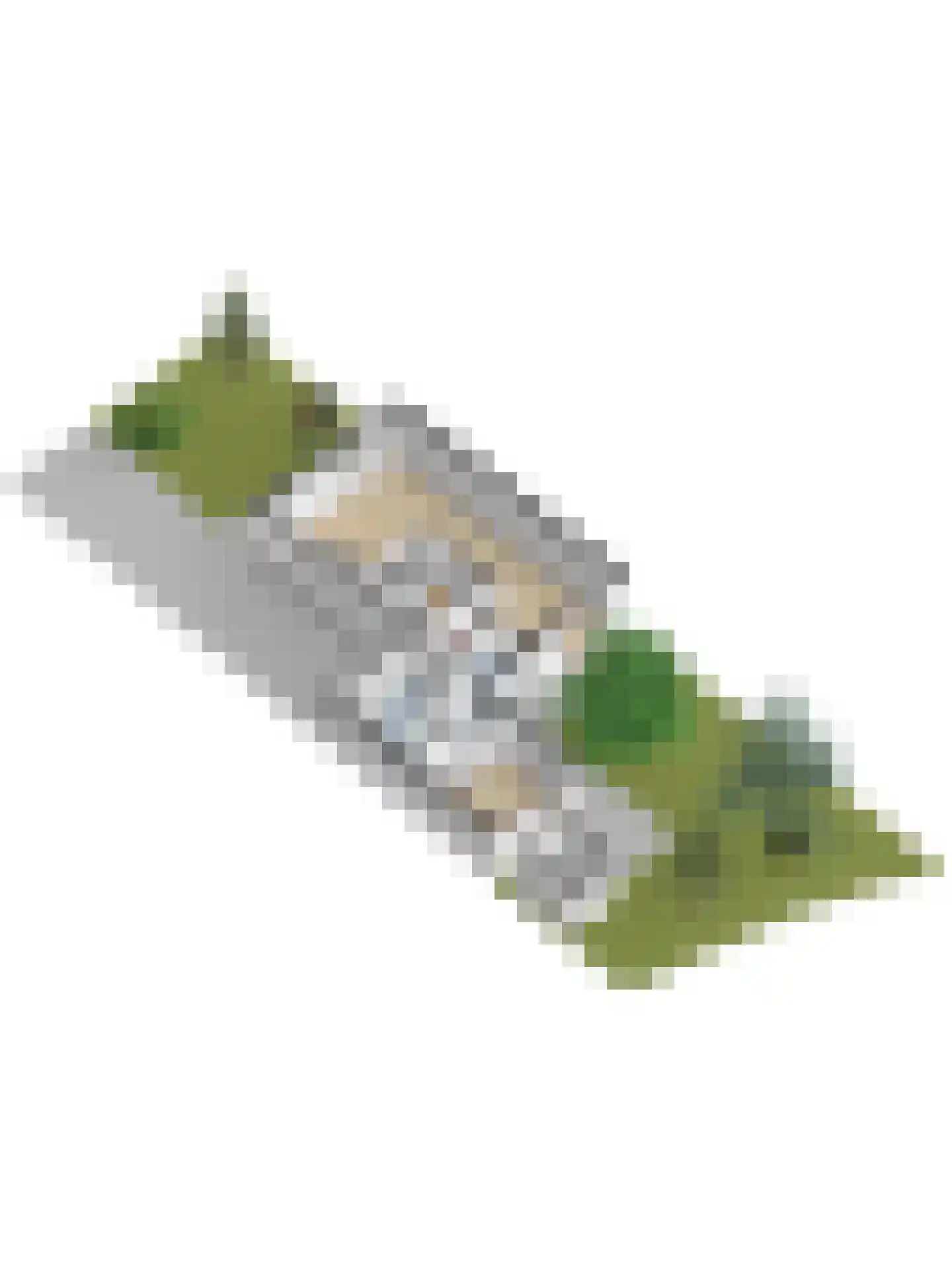 Griendwerker 6 Oud-Beijerland thumbnail 60