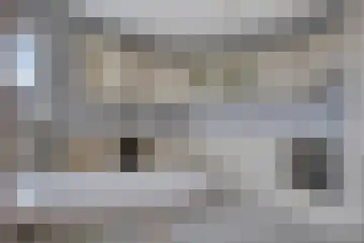 Griendwerkerstraat 43 Rotterdam thumbnail 8