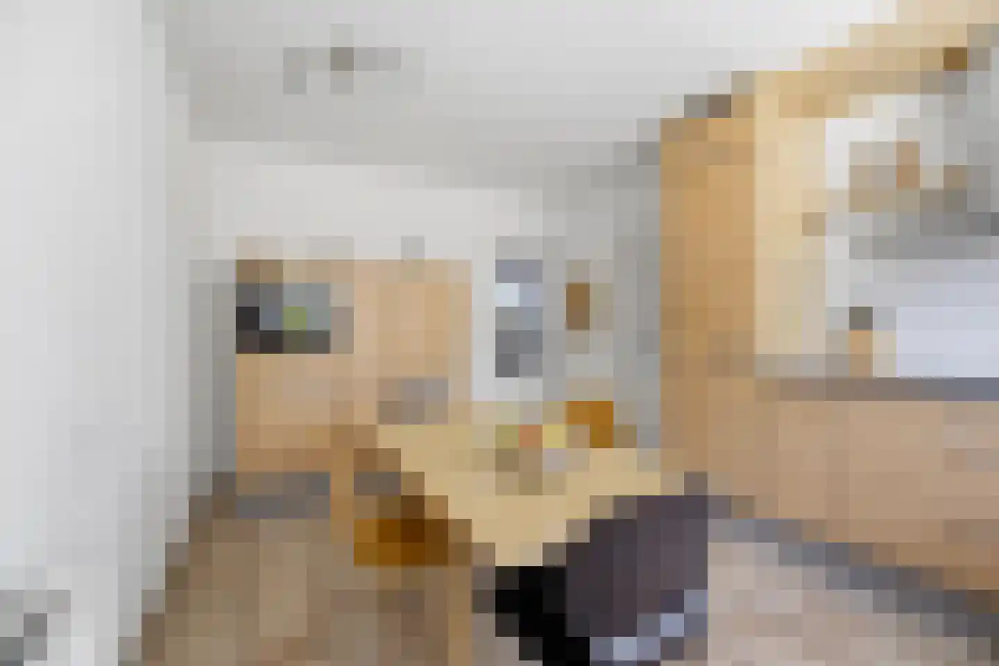 Griendwerkerstraat 82 Lage Zwaluwe thumbnail 11