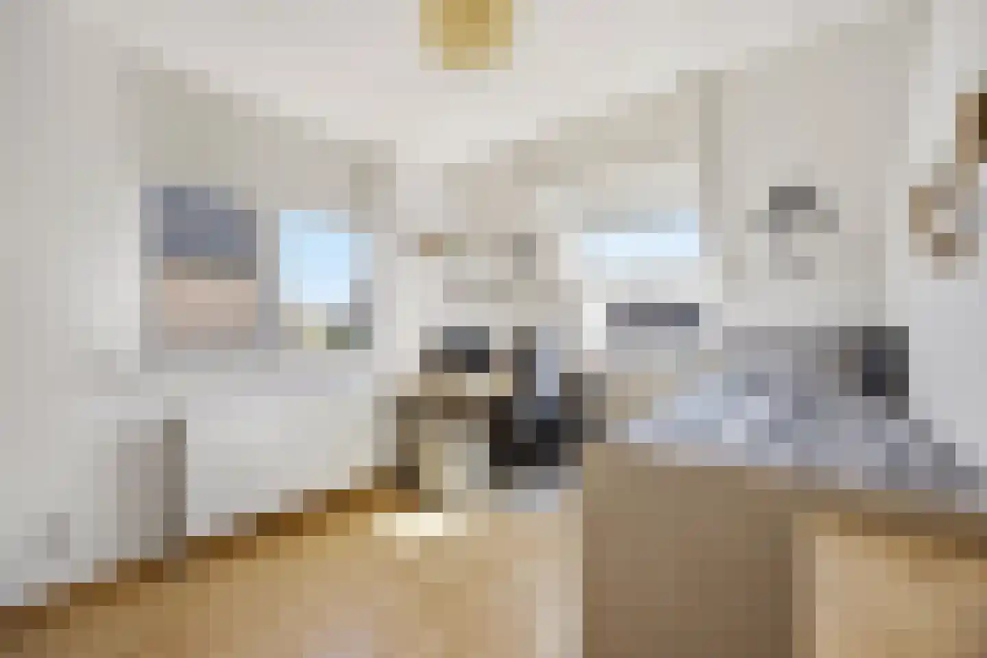 Griendwerkerstraat 82 Lage Zwaluwe thumbnail 30