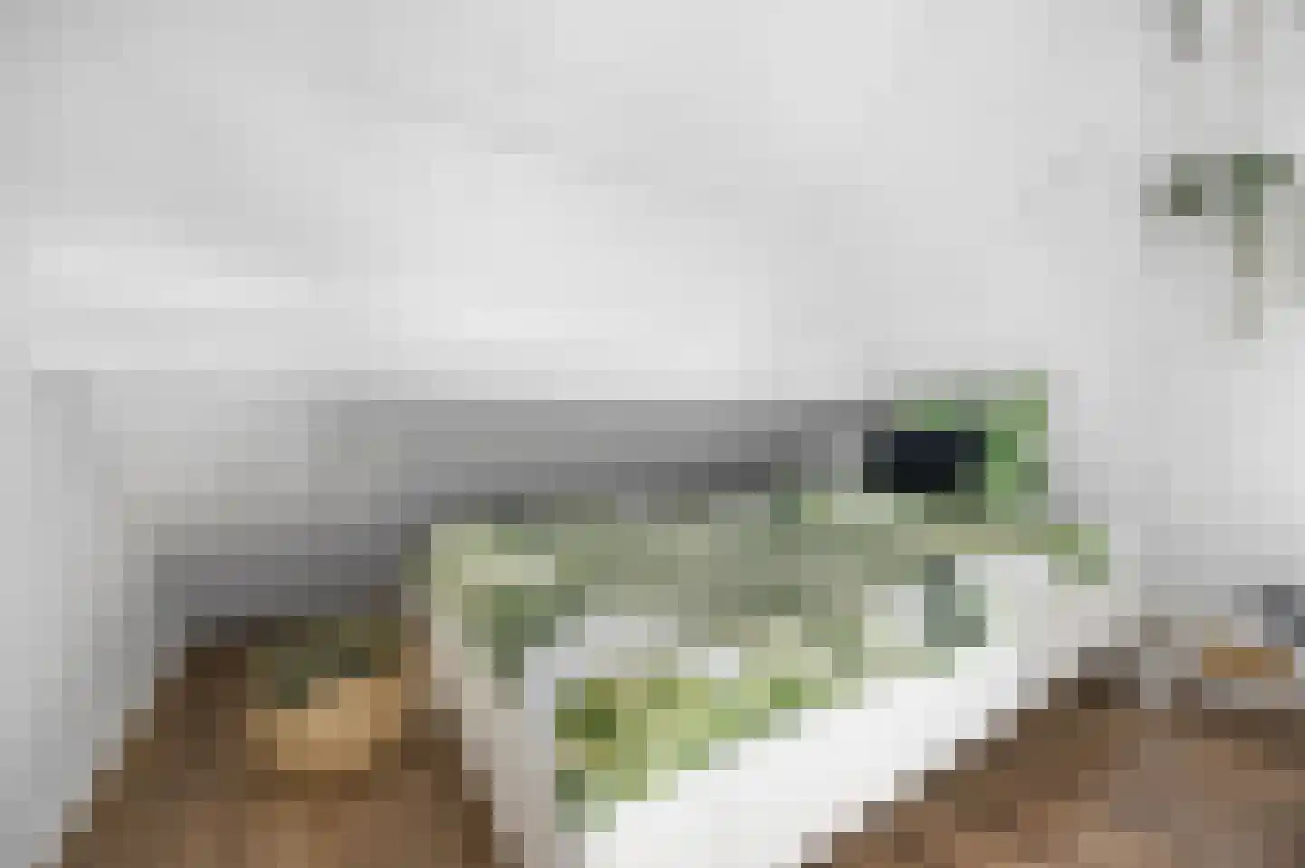 Griendwerkerstraat 82 Lage Zwaluwe thumbnail 34