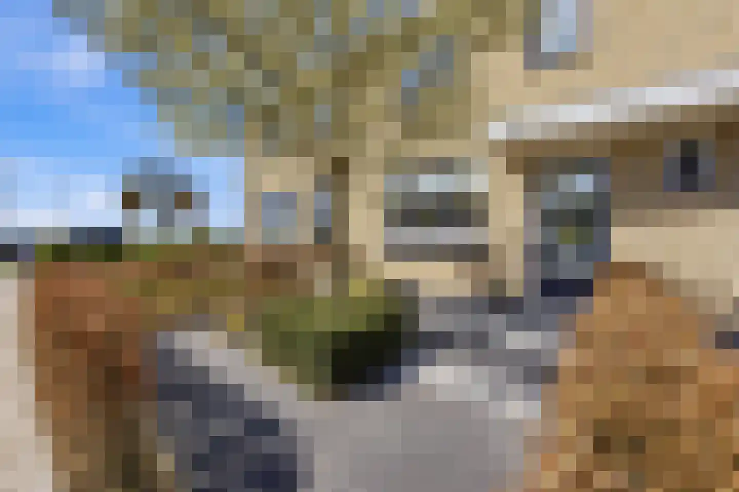 Griendwerkerstraat 82 Lage Zwaluwe thumbnail 6