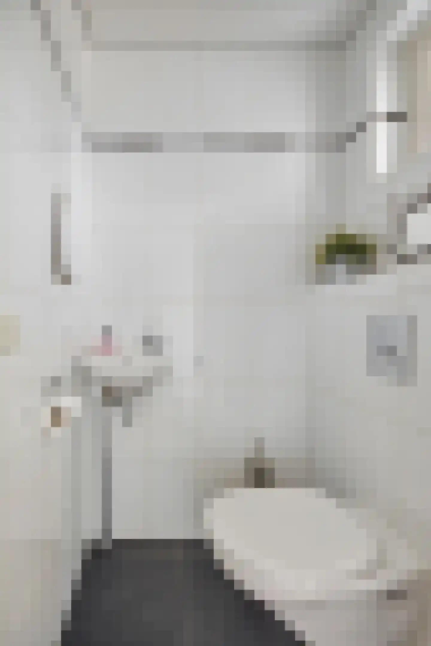 Griendwerkerstraat 82 Lage Zwaluwe thumbnail 9