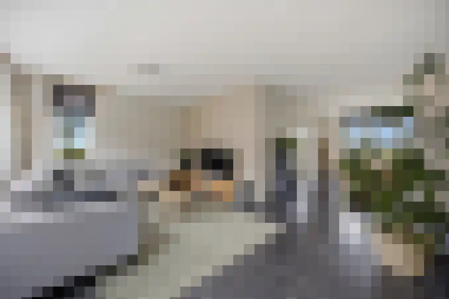 Griendwerkerstraat 84 Lage Zwaluwe thumbnail 11