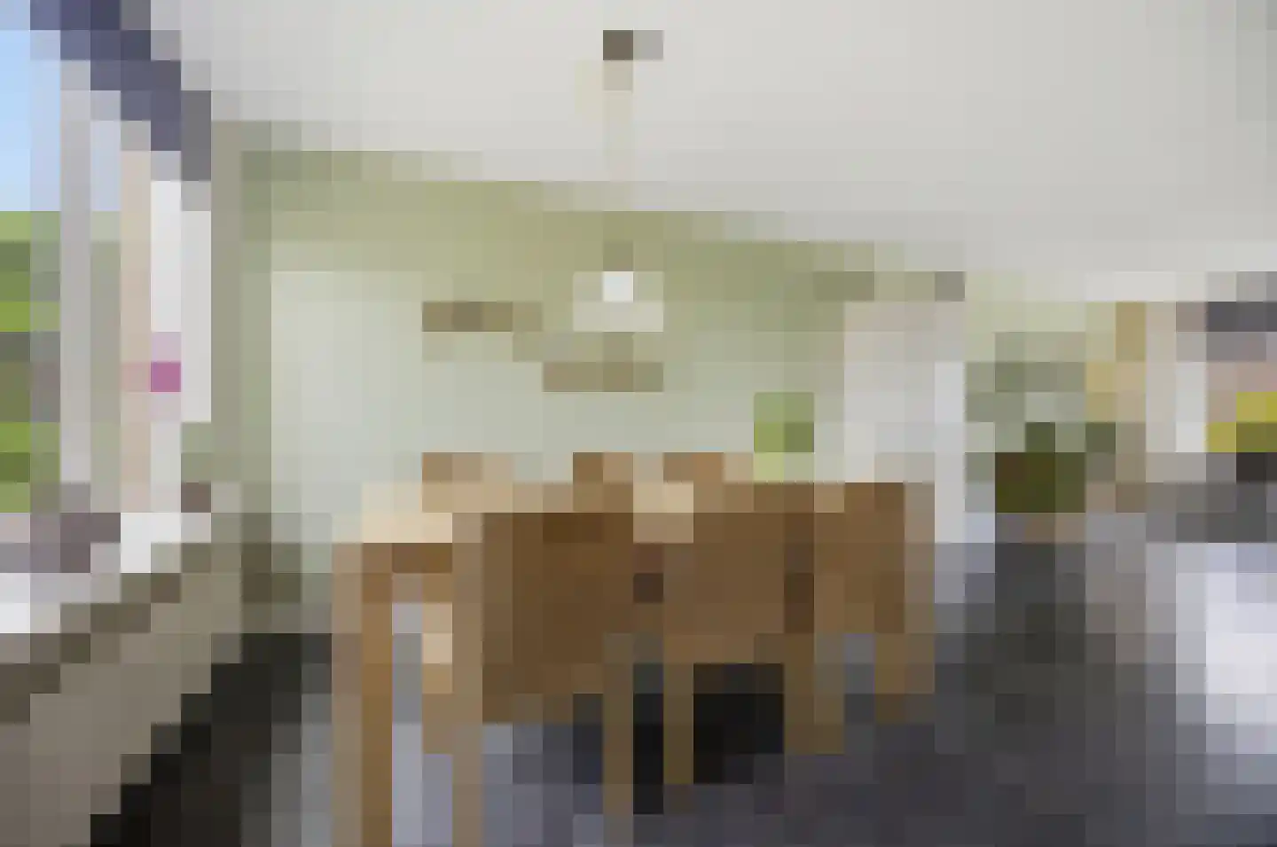 Griendwerkerstraat 84 Lage Zwaluwe thumbnail 13