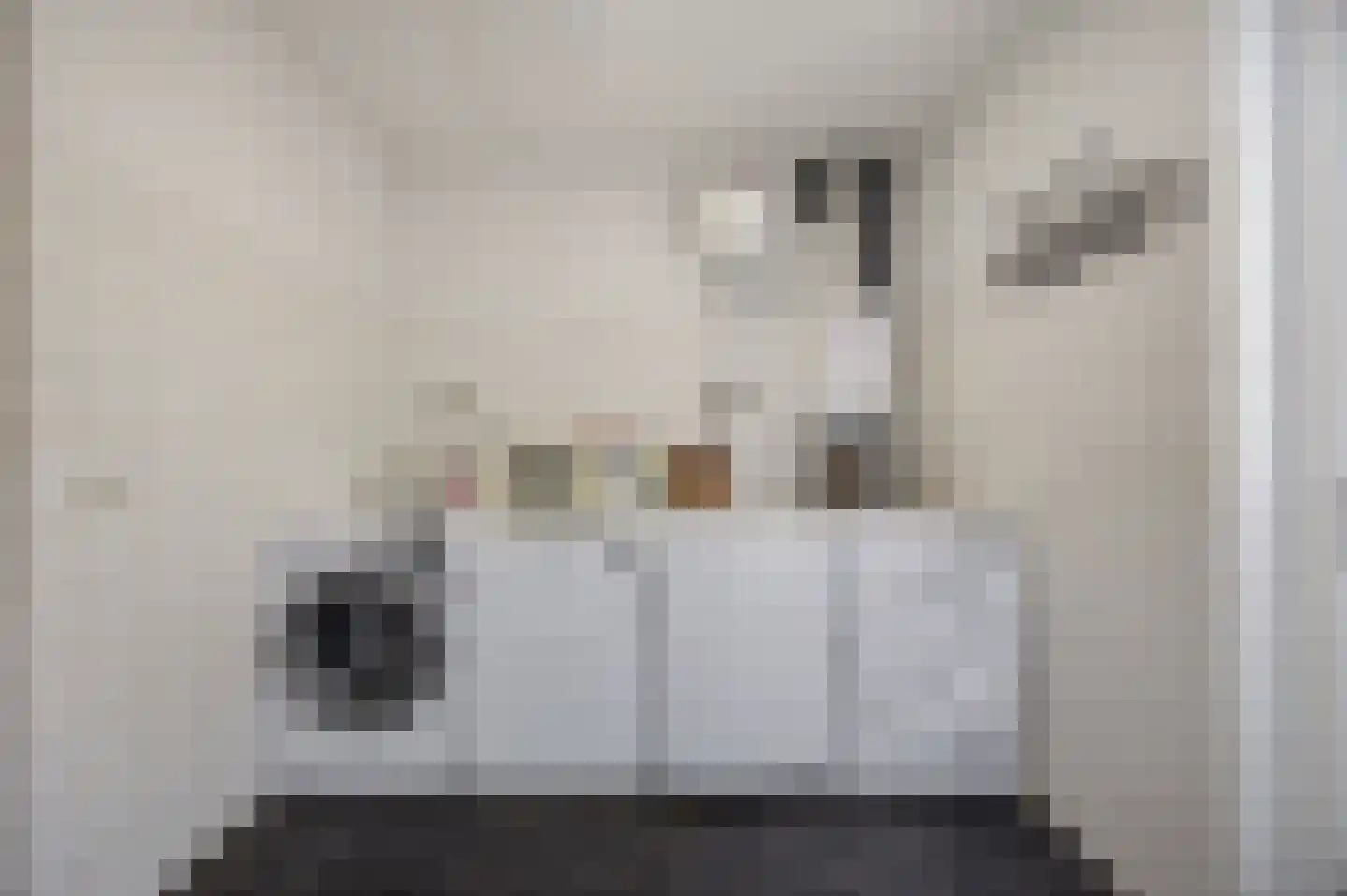 Griendwerkerstraat 84 Lage Zwaluwe thumbnail 17