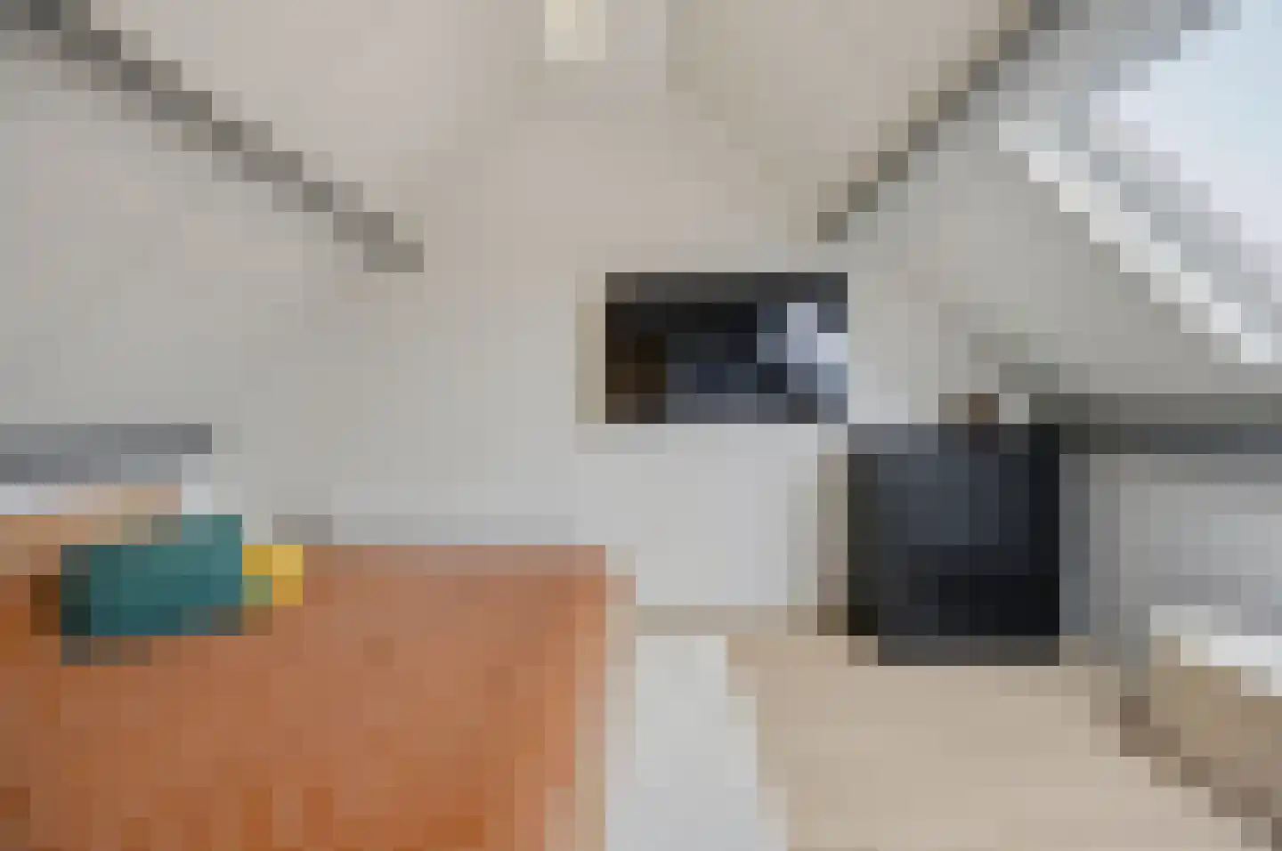 Griendwerkerstraat 84 Lage Zwaluwe thumbnail 33
