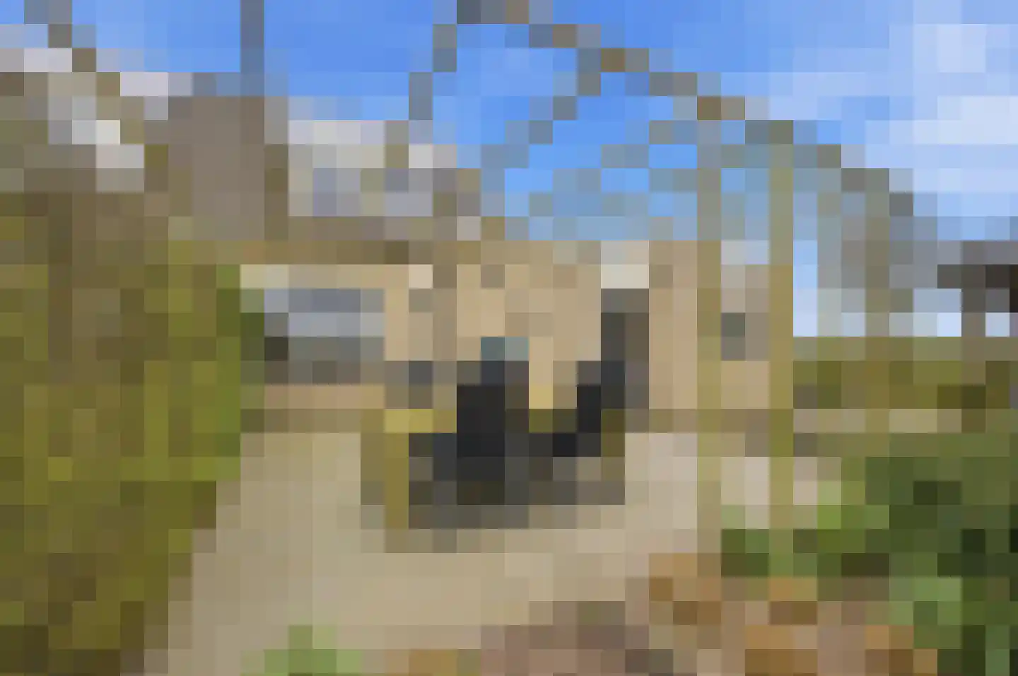Griendwerkerstraat 84 Lage Zwaluwe thumbnail 34