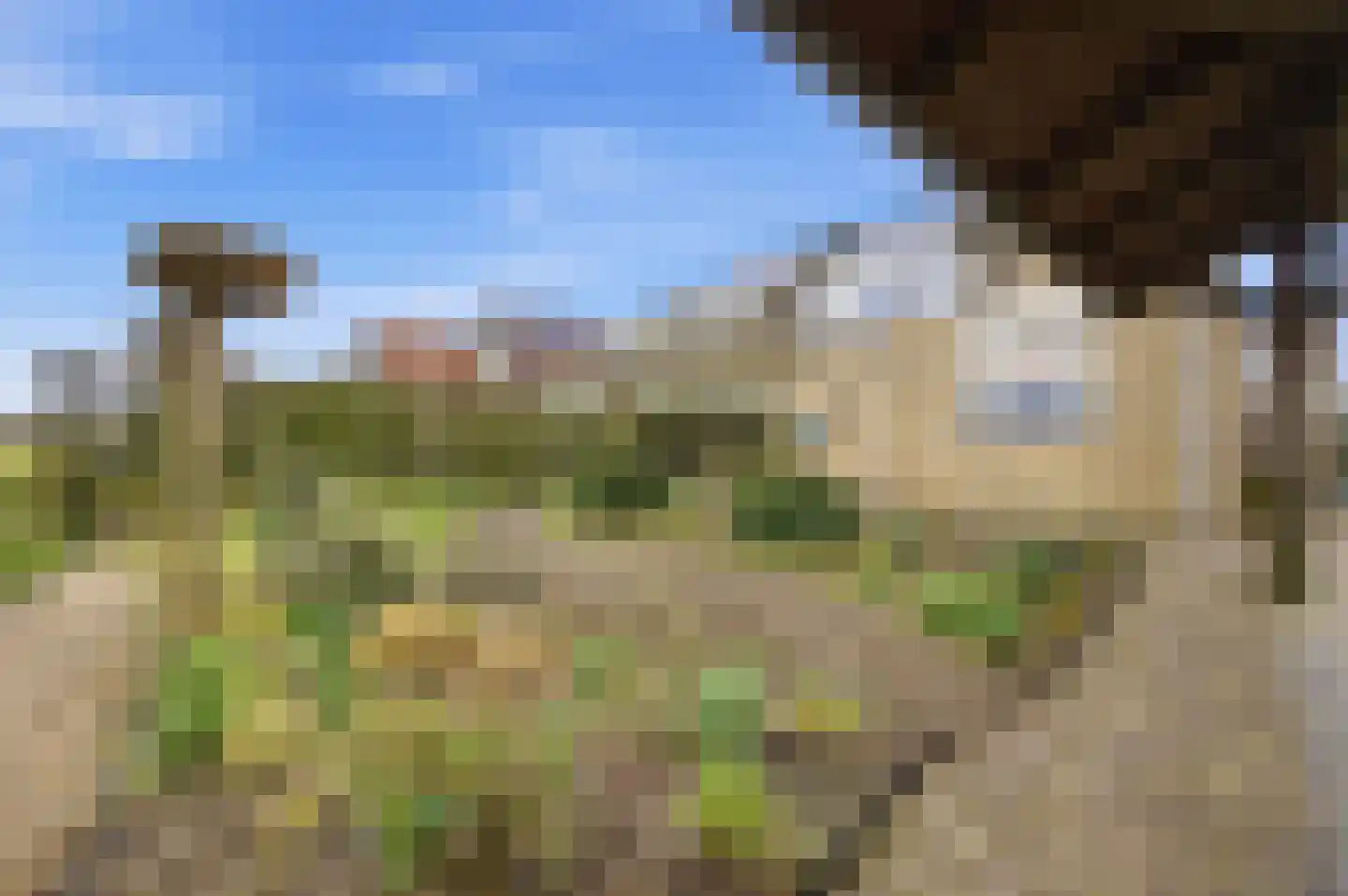 Griendwerkerstraat 84 Lage Zwaluwe thumbnail 38
