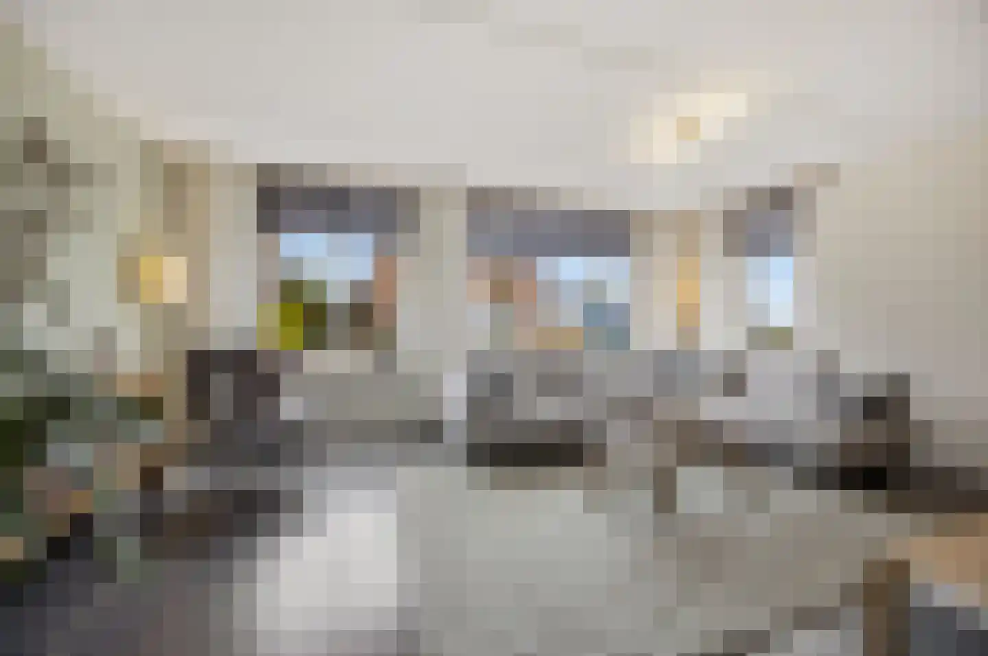 Griendwerkerstraat 84 Lage Zwaluwe thumbnail 8