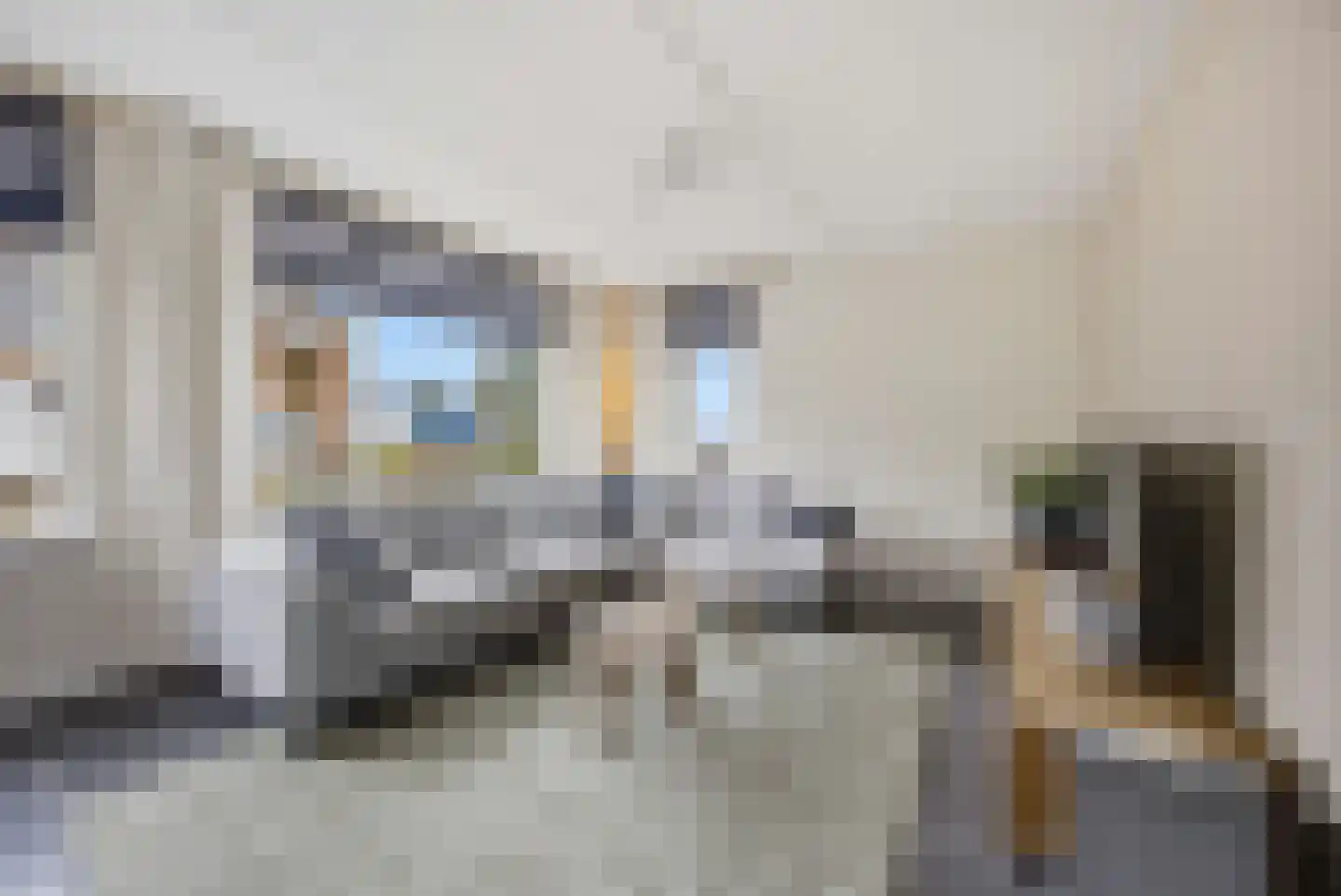 Griendwerkerstraat 84 Lage Zwaluwe thumbnail 9