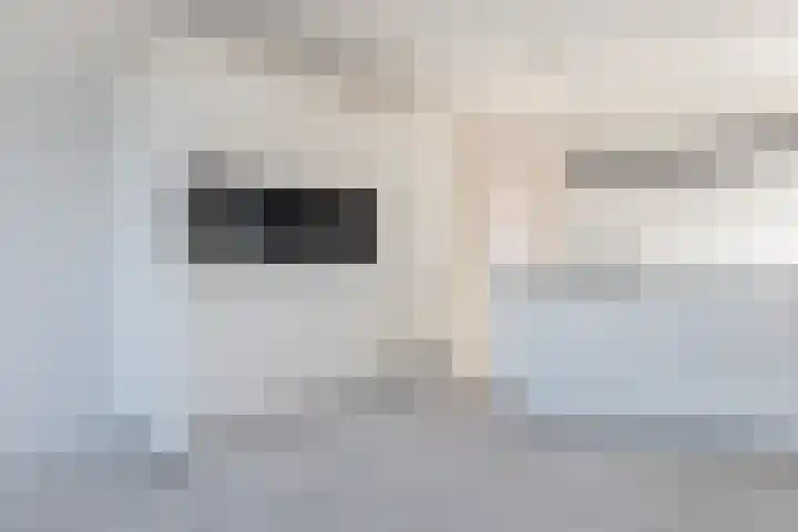 Griendzoom 2 Emmen thumbnail 25