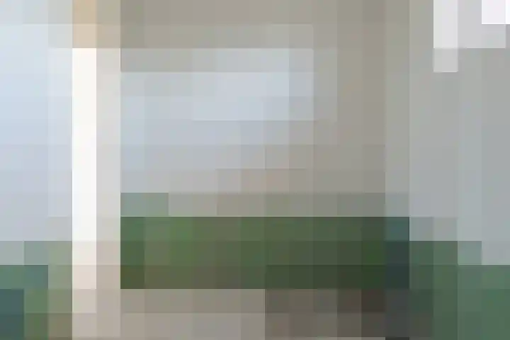 Griendzoom 2 Emmen thumbnail 34