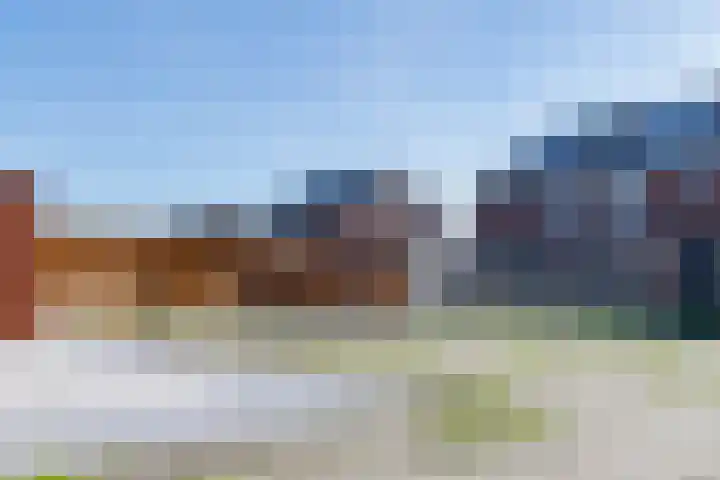 Griendzoom 2 Emmen thumbnail 37