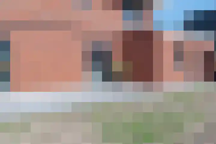 Griendzoom 2 Emmen thumbnail 41