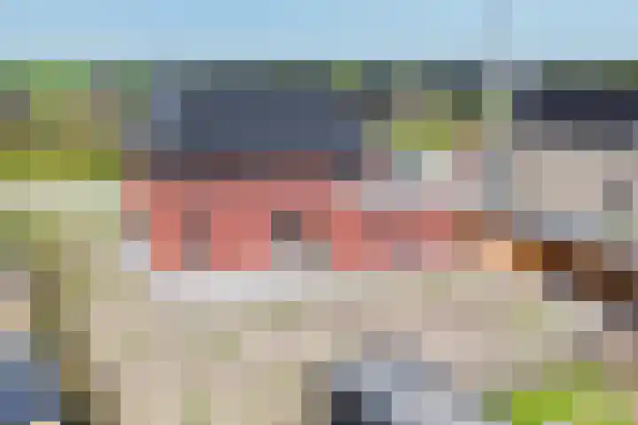 Griendzoom 2 Emmen thumbnail 43