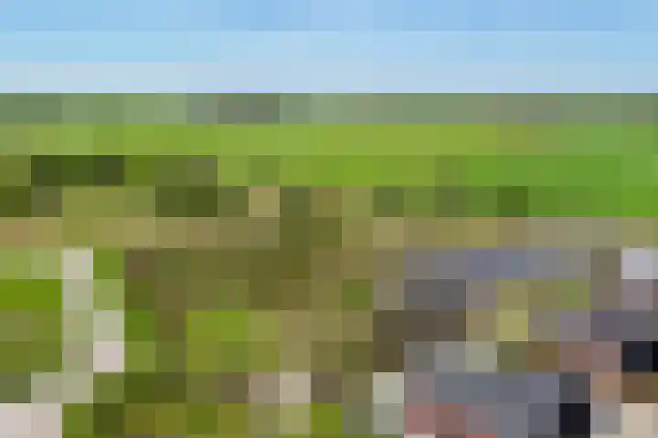 Griendzoom 2 Emmen thumbnail 6