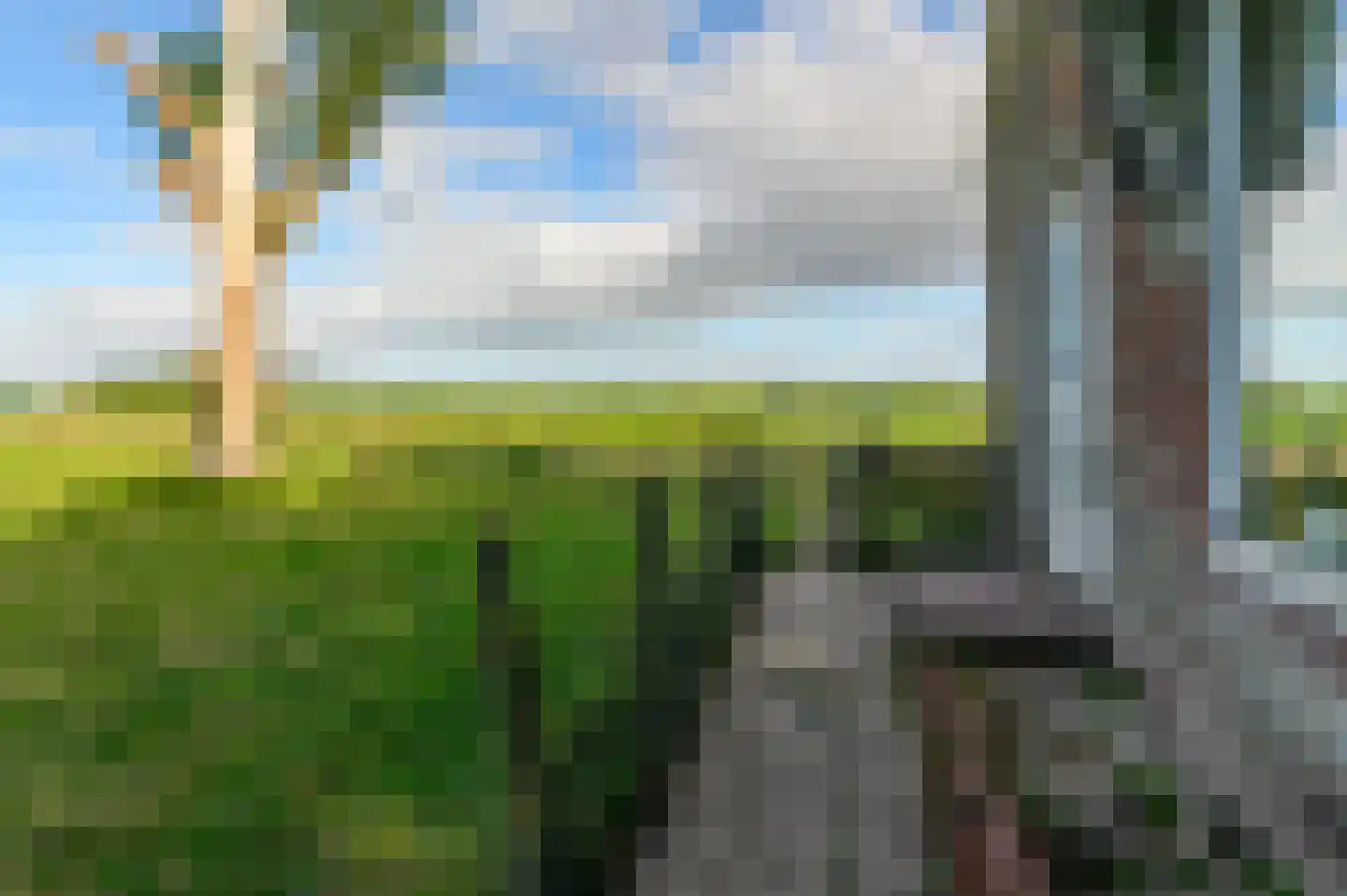 Griene dyk 4 Wirdum thumbnail 10
