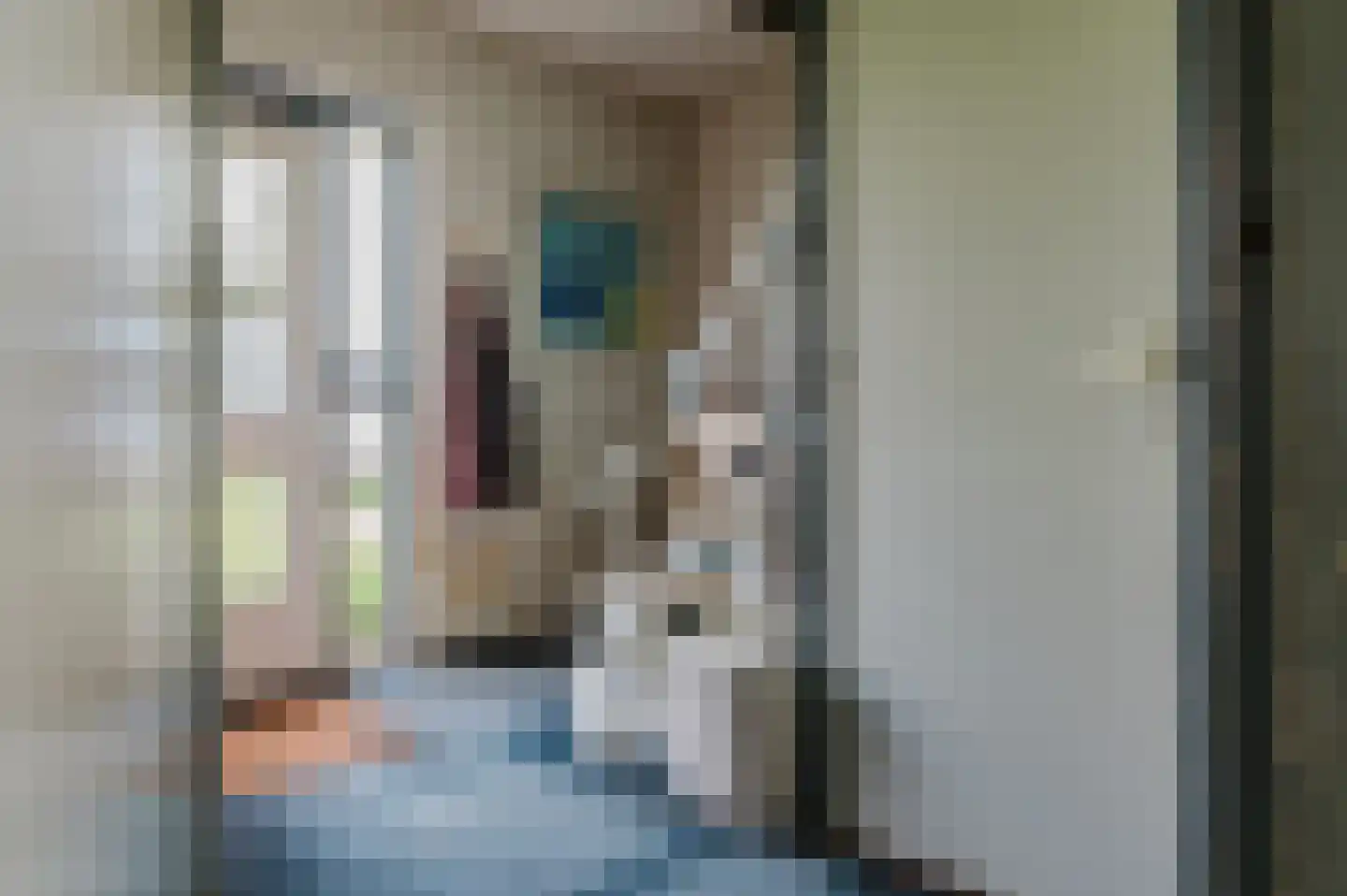 Griene dyk 4 Wirdum thumbnail 11