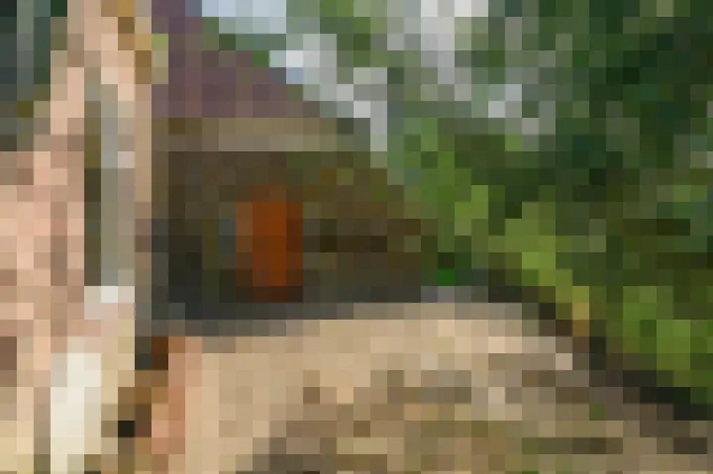 Griene dyk 4 Wirdum thumbnail 13