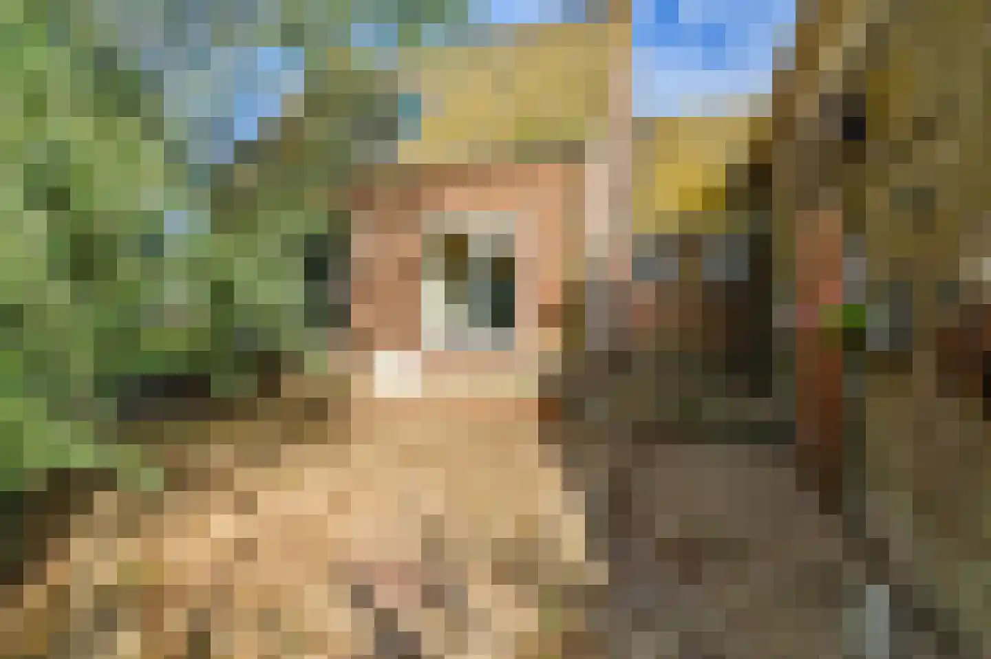 Griene dyk 4 Wirdum thumbnail 14