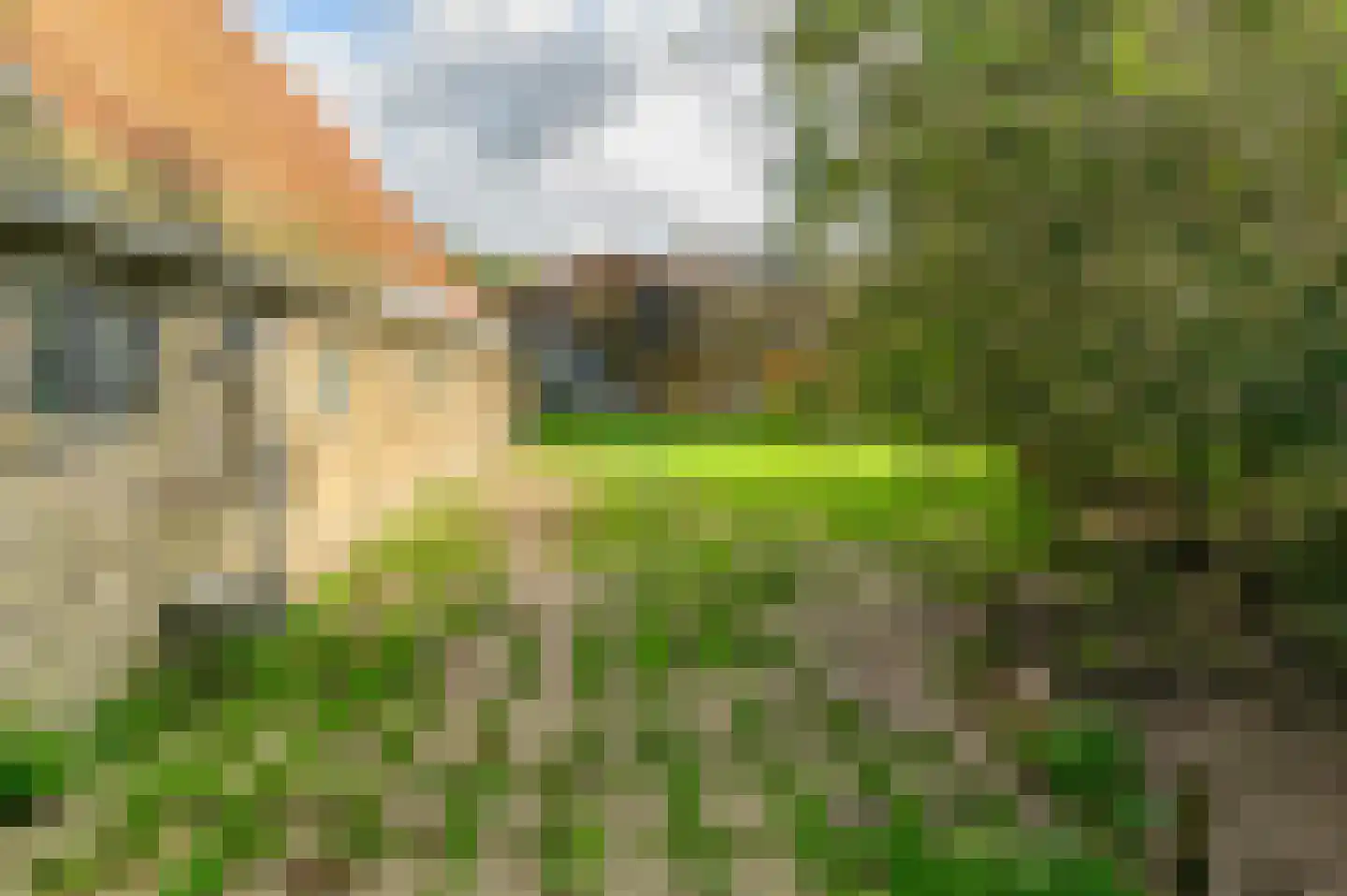 Griene dyk 4 Wirdum thumbnail 15