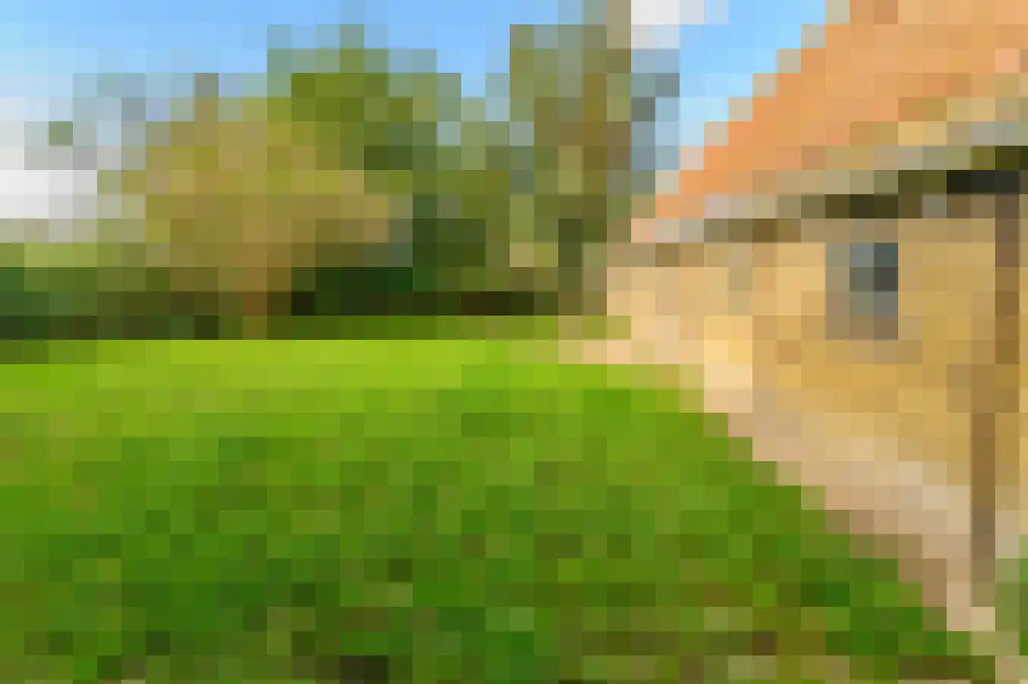 Griene dyk 4 Wirdum thumbnail 17