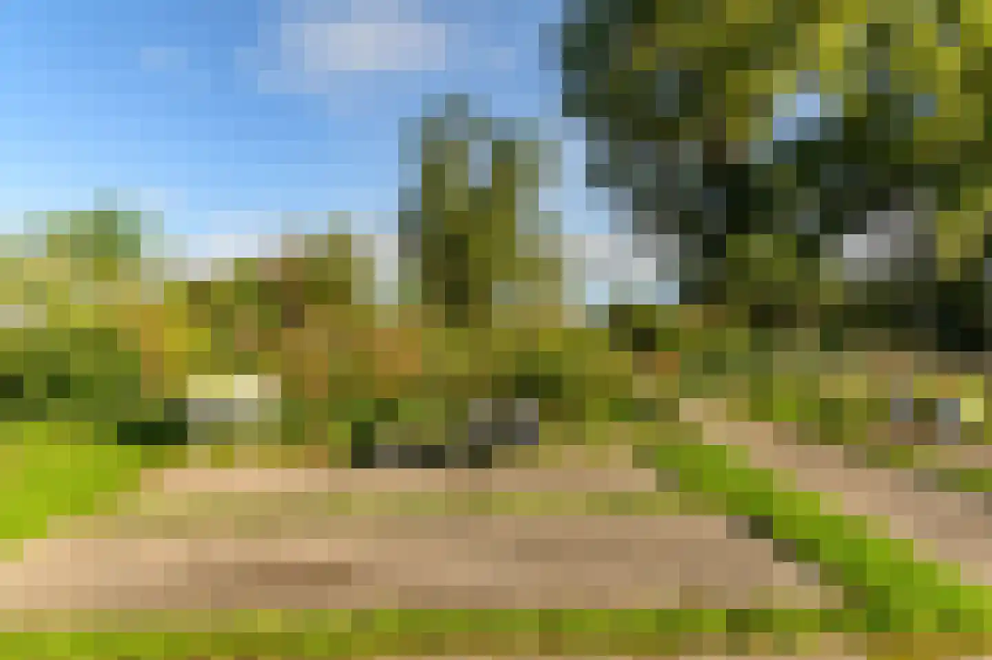 Griene dyk 4 Wirdum thumbnail 19
