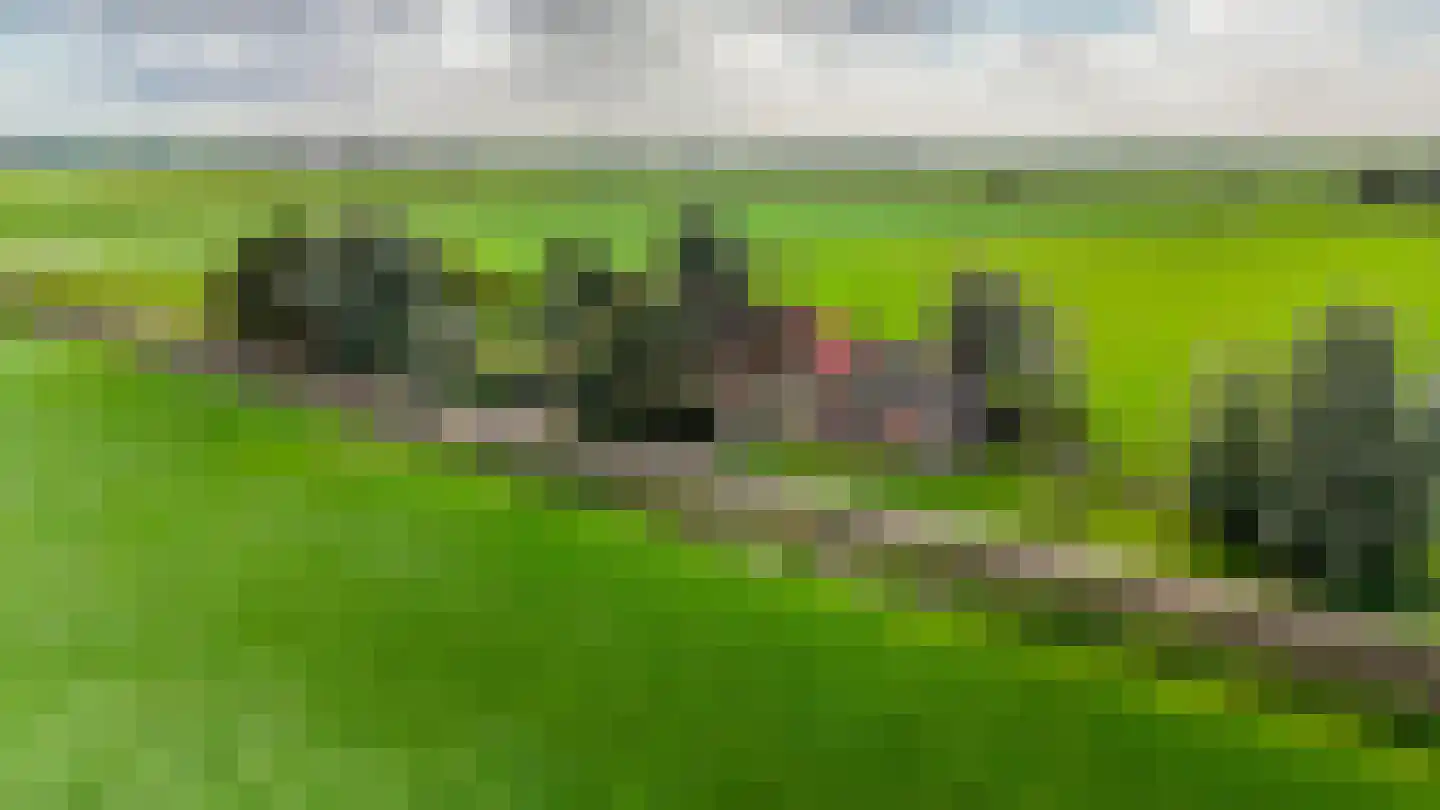 Griene dyk 4 Wirdum foto 2