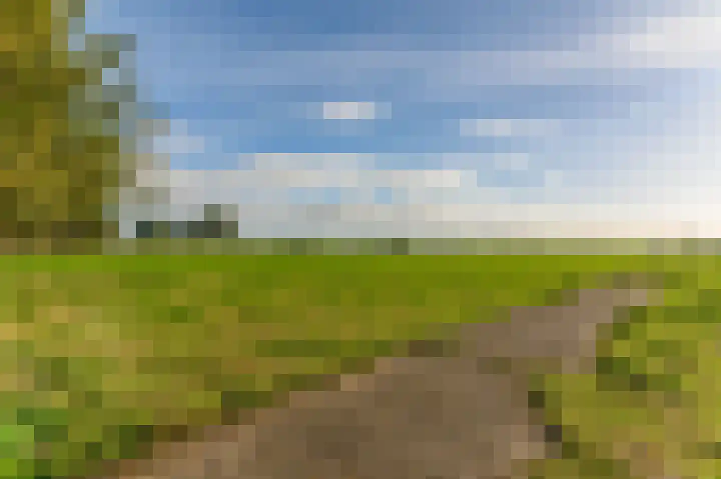 Griene dyk 4 Wirdum thumbnail 20